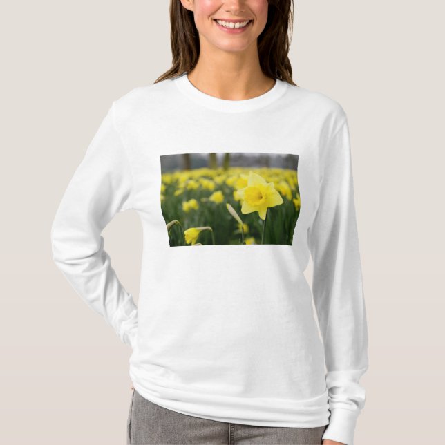 Daffodils (RF) T-Shirt (Front)