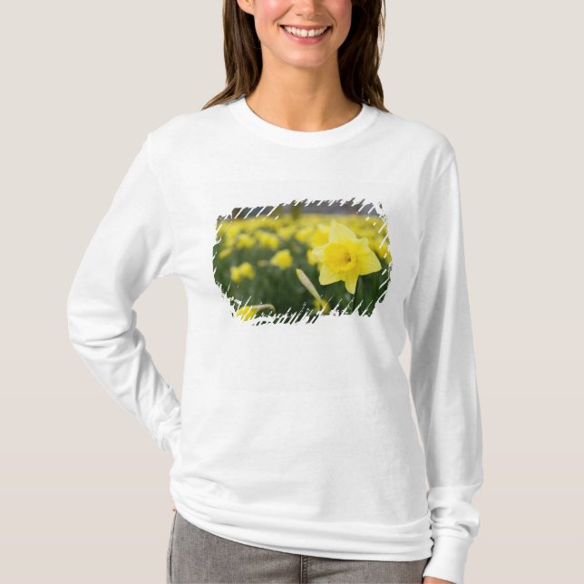 Daffodils (RF) T-Shirt (Front)