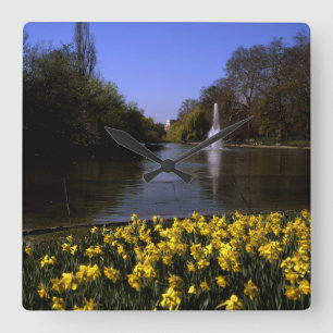 Daffodils St James's  Park London Square Wall Clock