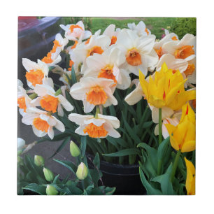 Daffodils & Tulips, Oregon Tile