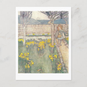 Daffodils Vintage Children's Illustration Postcard