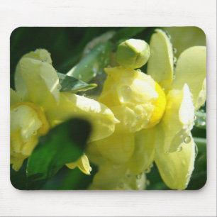 Daffodils With Water Droplets Mouse Mat