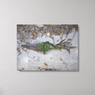 dagger, athame, wicca, ritual, to dagger, athame, canvas print