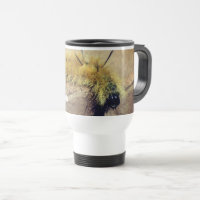 Dagger Moth Caterpillar Nature Personalised 