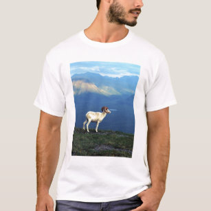 Dahl ram standing on grassy ridge, mountains T-Shirt