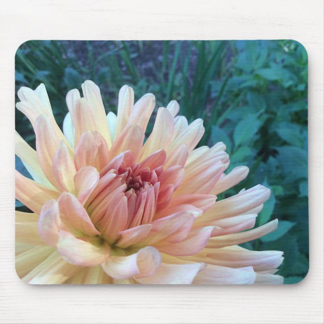 Dahlia B: Yellow and salmon --- Mouse Mat (Front)