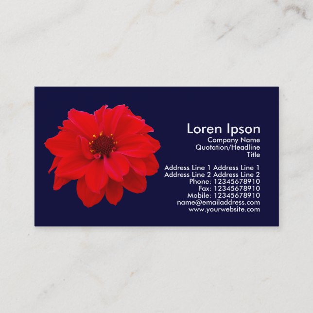 Dahlia, Bishop of Llandaff - Dark Navy Blue Business Card (Front)
