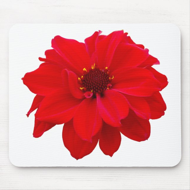 Dahlia - Bishop of Llandaff Mouse Mat (Front)