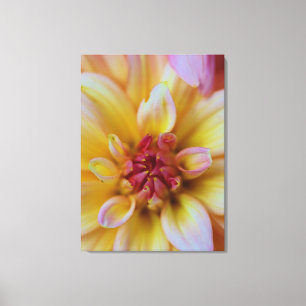 Dahlia Bud Canvas Print