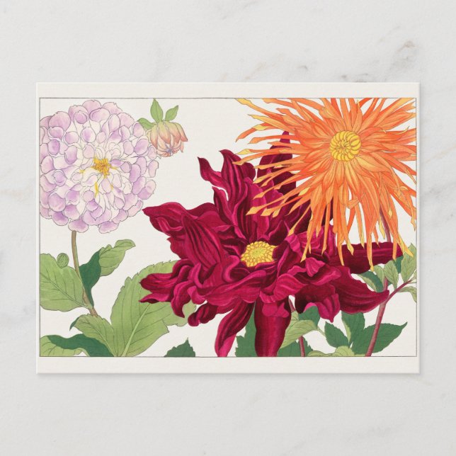 Dahlia by Tanigami Konan Postcard (Front)