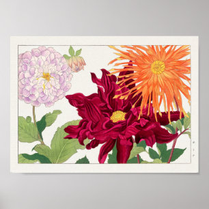Dahlia by Tanigami Konan Poster