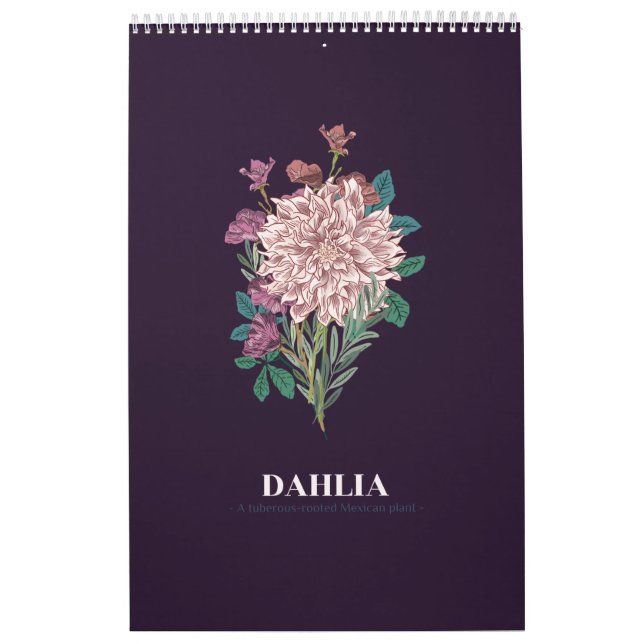 DAHLIA CALENDAR (Cover)