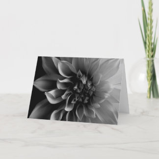 Dahlia Card
