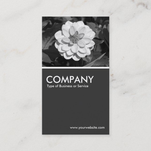 Dahlia 'David Howard' - 80pc Grey Business Card (Front)