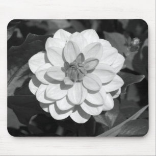 Dahlia 'David Howard' B&W Mouse Mat
