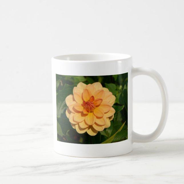 Dahlia 'David Howard' Coffee Mug (Right)