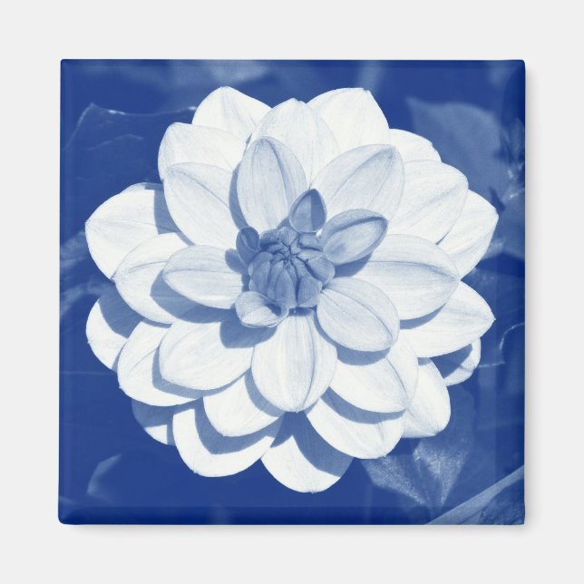 Dahlia - Digital Cyanotype Magnet (Front)