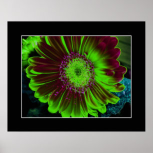 Dahlia Flower Abstract Photography Green Poster