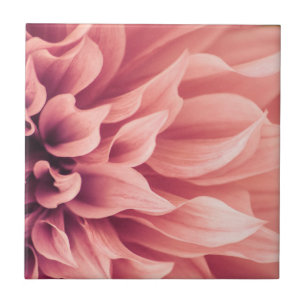 Dahlia Flower Blossom Tile