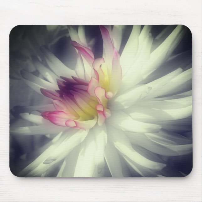 Dahlia Flower Close Up Black And White  Mouse Mat (Front)