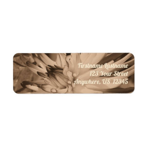 Dahlia Flower Close Up In Sepia Address