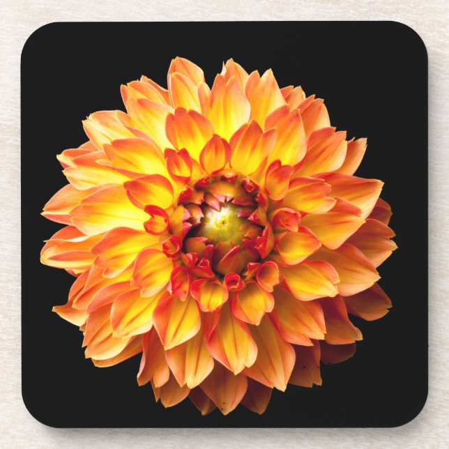 Dahlia flower coaster (Front)