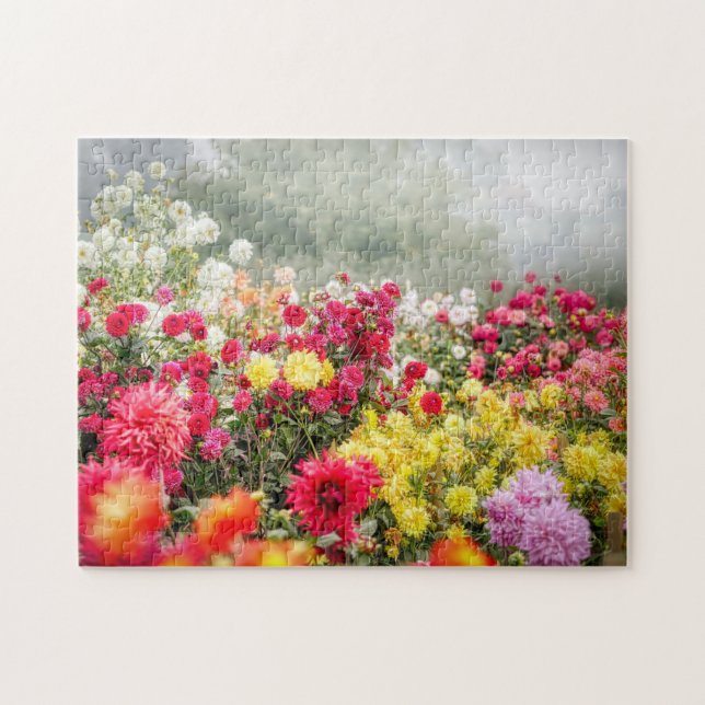 Dahlia Flower Field Jigsaw Puzzle (Horizontal)