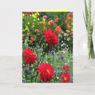 Dahlia Flower Garden Birthday Card