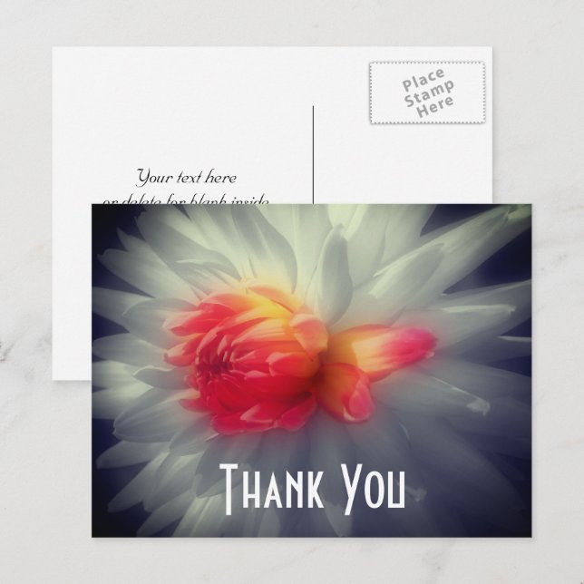 Dahlia Flower Partial Colour Thank You Postcard (Front/Back)