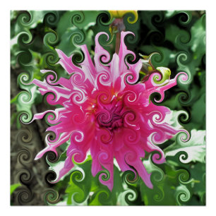 DAHLIA FLOWER POSTER
