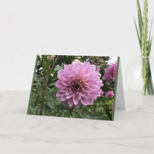Dahlia flower relationship card