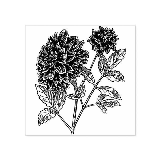 Dahlia Flower   Rubber Stamp (Imprint)