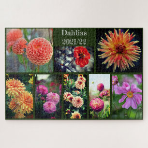Dahlia Flowers Eight Photo Collage 1014pc Jigsaw Puzzle