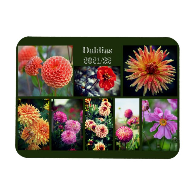 Dahlia Flowers Eight Photo Personal Collage  Magnet (Horizontal)