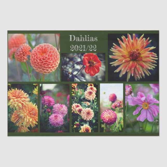 Dahlia Flowers Eight Photo Personal Collage Tissue Paper (Front)