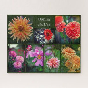 Dahlia Flowers Seven Photo Collage 520pc Jigsaw Pu Puzzle