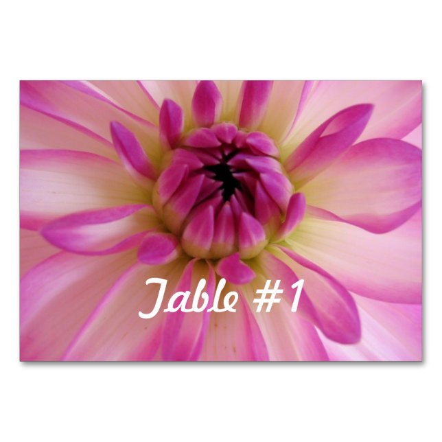 Dahlia Flowers Table Number (Front)