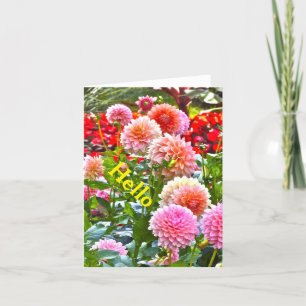 DAHLIA GARDEN/ PINK AND PEACH DAHLIAS/ "HELLO" CARD