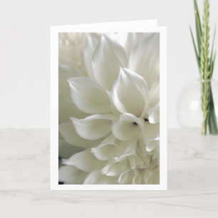 Dahlia Greeting Card