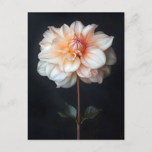 Dahlia in Bloom Botanical Painting Postcard