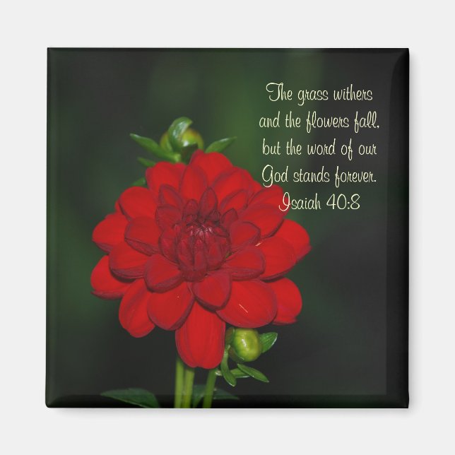 Dahlia Isaiah 40:8 Magnet (Front)