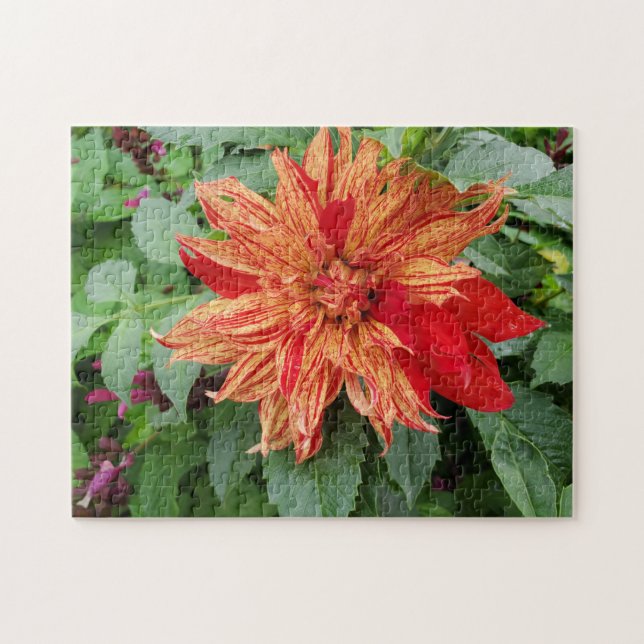 Dahlia  jigsaw puzzle (Horizontal)
