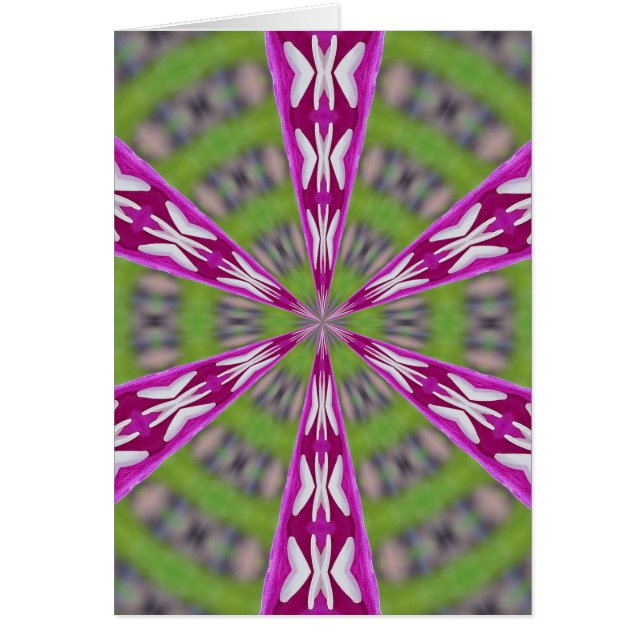 Dahlia Kaliediscope (Front)