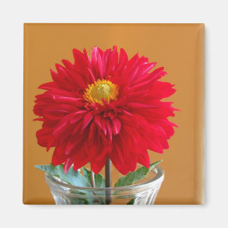 Dahlia Magnet