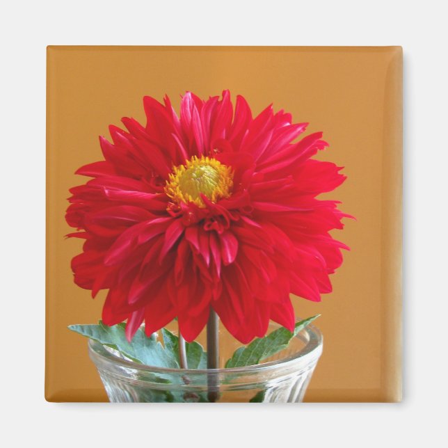 Dahlia Magnet (Front)
