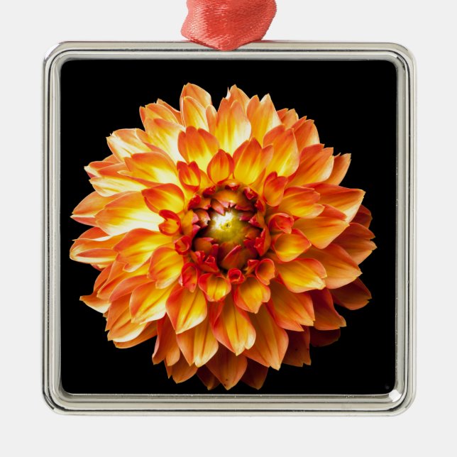 Dahlia Metal Tree Decoration (Front)