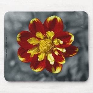 Dahlia Mouse Mat