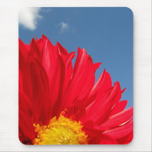dahlia mouse mat