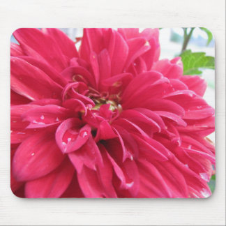 dahlia mouse mat