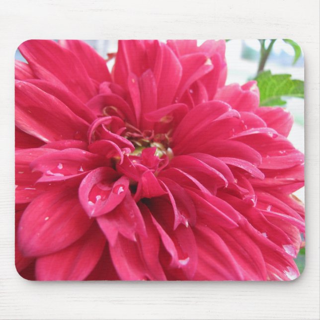 dahlia mouse mat (Front)